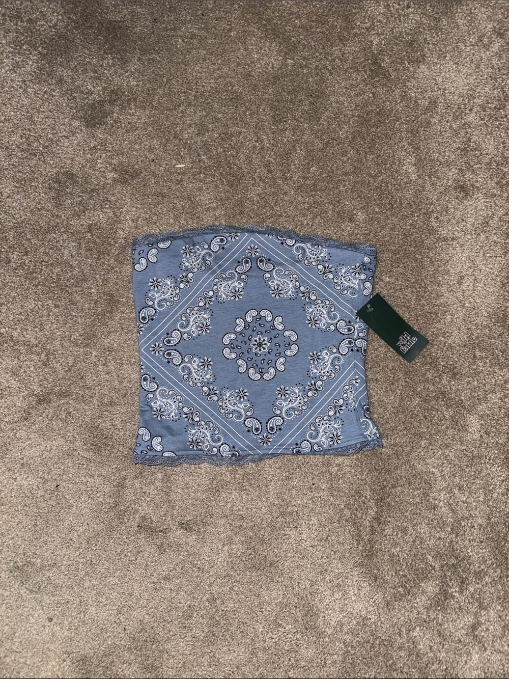 wild fable Blue Bandana Print Crop Top